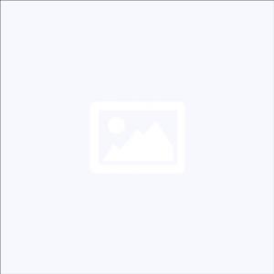 Tinta OEM Canon PGI-520B, crna